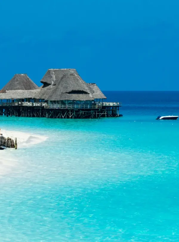 zanzibar1111